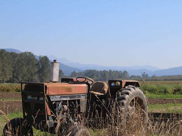 Old tractor in a field