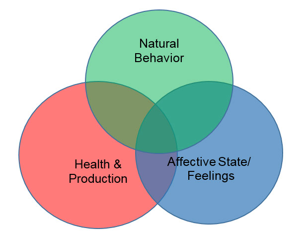 Diagram showing components for animal welfare
