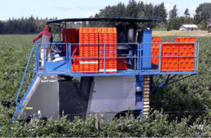 Blueberry harvester