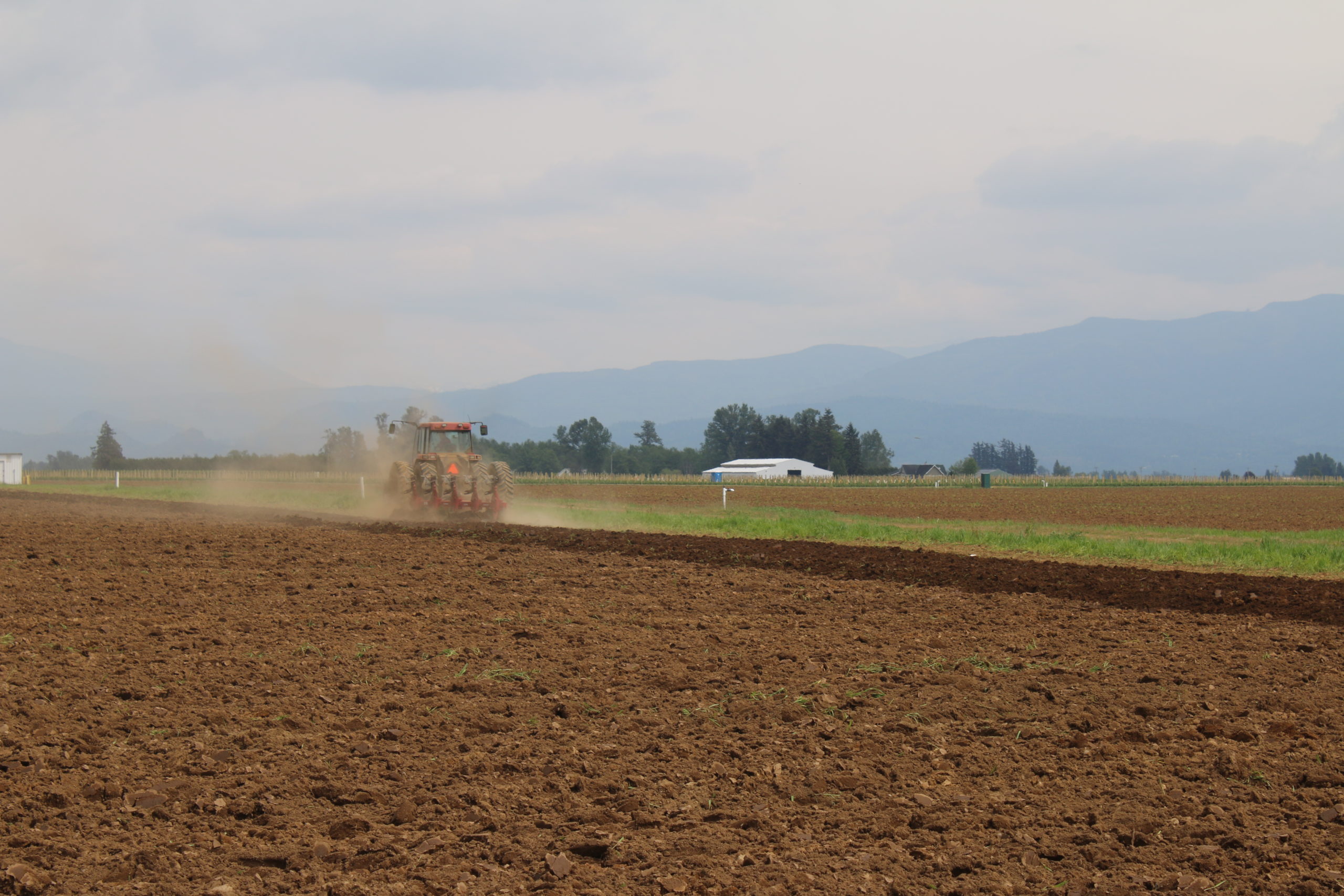 agriculture field covered in soil