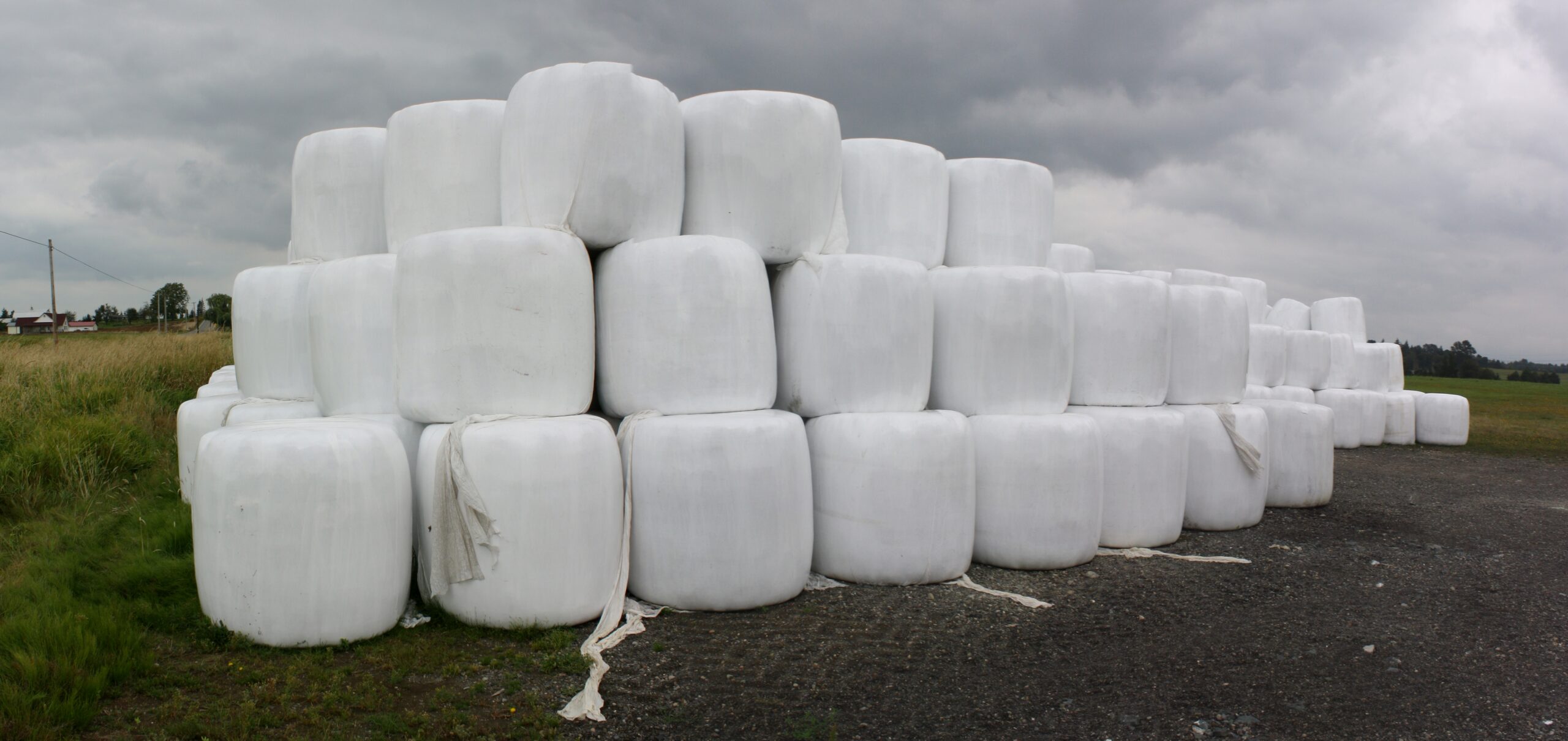hay wrapped in field