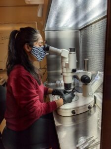 Roshani Baral, First Year Master Student