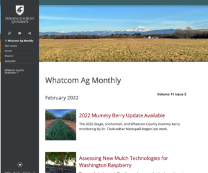 Website screenshot of WAM website