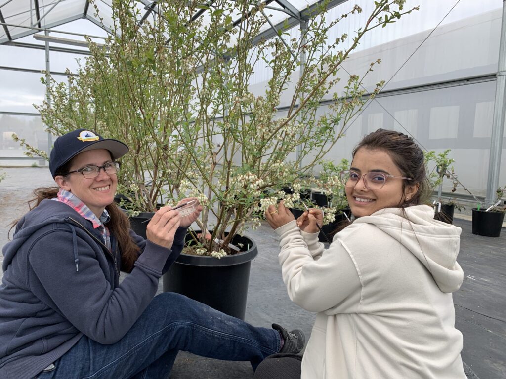 workers in greenhouse
