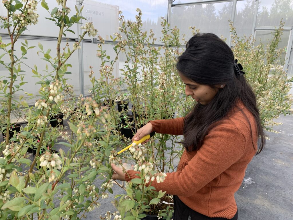 worker in greenhouse