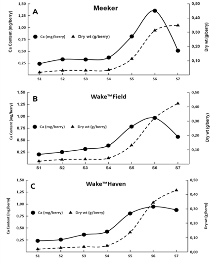 3 graphs of data