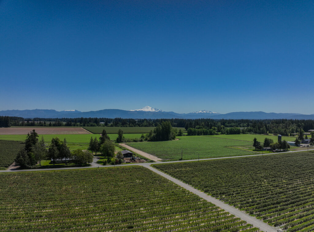 Overlooking agriculture fields, mountains in background