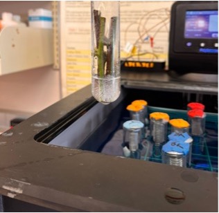 Laboratory equipment to measure freeze damage simulates freezing conditions in the field utilizing a glycol to expose floricance buds.