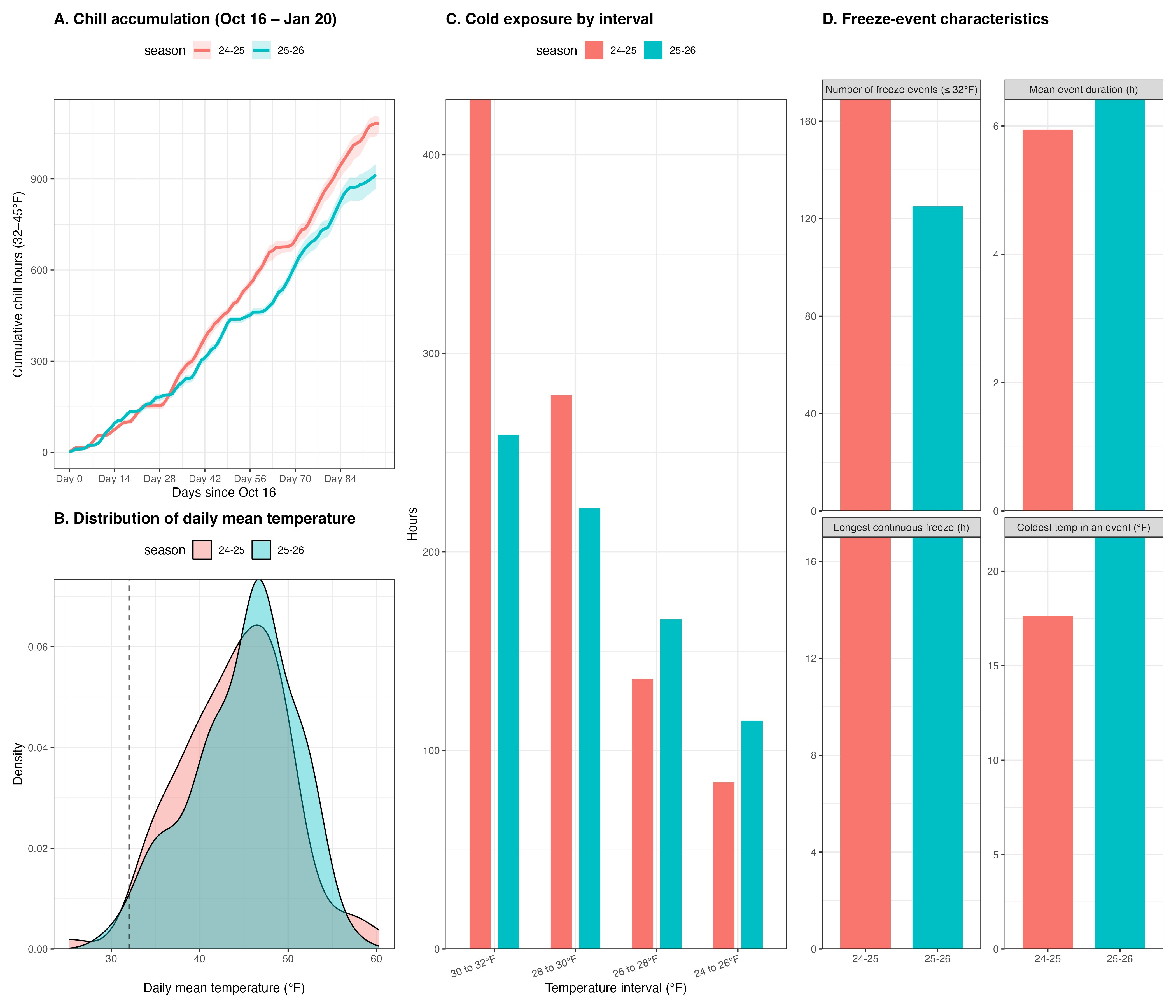 A multi‑panel figure showing comparative cold‑weather metrics for two periods, labeled “24–25” in turquoise and “25–26” in red. Panel A: A line graph of cumulative chill hours (≤45°F) from October 16 to January 20. Both years show steadily increasing chill accumulation, with the 25–26 line rising slightly faster after mid‑December. Panel B: Overlaid density curves showing the distribution of daily mean temperatures. Both periods form a roughly bell‑shaped curve centered near the mid‑40s °F, with 25–26 showing slightly more density at cooler temperatures. Panel C: A bar chart showing total hours within temperature intervals (