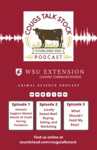 Cougs Talk Stock Flyer