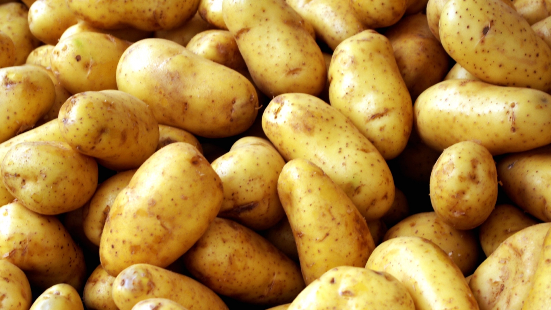 Gold Potatoes.