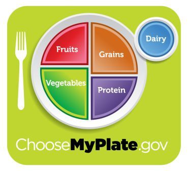 My Plate logo - a plate, cup and fork from above. The plate is divided into sections for fruits, vegetables, protein, and grains; the cup is labeled dairy.