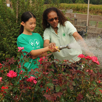 A youth in a green 4-H shirt waters a rose garden with an adult leader