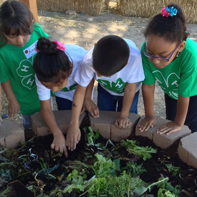 Four children in 4-H shirts stand around the edge of a raised, brick lined garden bed