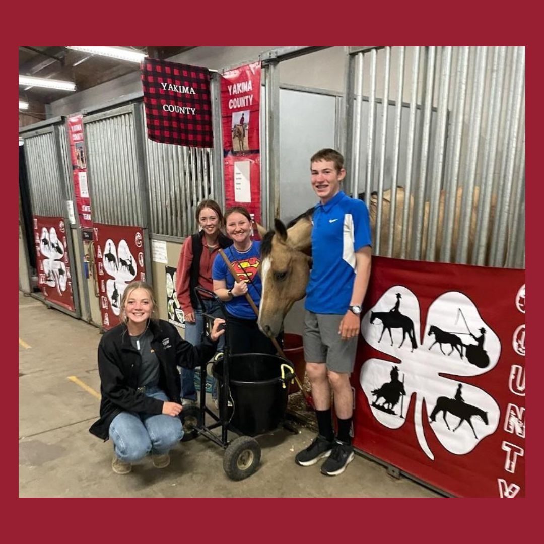 A group of people posing for a photo with a horse