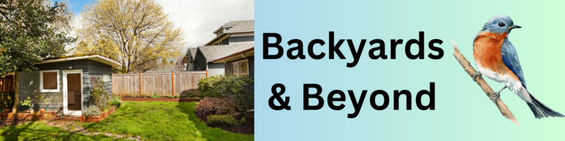 At left, a backyard with small garden shed, grees, shrubs, and a stockade fence. At right, a watercolor illustration of a bluebird on a branch. Center, the title "Backyards & Beyond" in black on a blue to green gradient