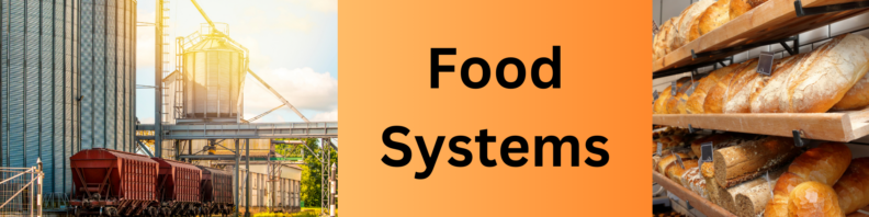 Grain hopper train cars outside a grain silo in the sunlight at left. At right, shelves of bread at a bakery. Center, the title "Food Systems" in black on a light orange to dark orange gradient background