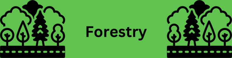 A line drawing of trees of various shapes behind a street at left, mirrored at right, with the title "Forestry" in black in the middle. The entire image is on a green background