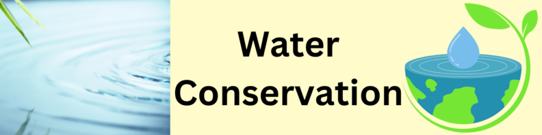 At left, a ripple on a pond surface. At right, the lower half of a globe with a water droplet at the center, a plant arching from below to above where it's leaves are over the droplet. At center, the title "Water Conservation" in black on a light yellow background