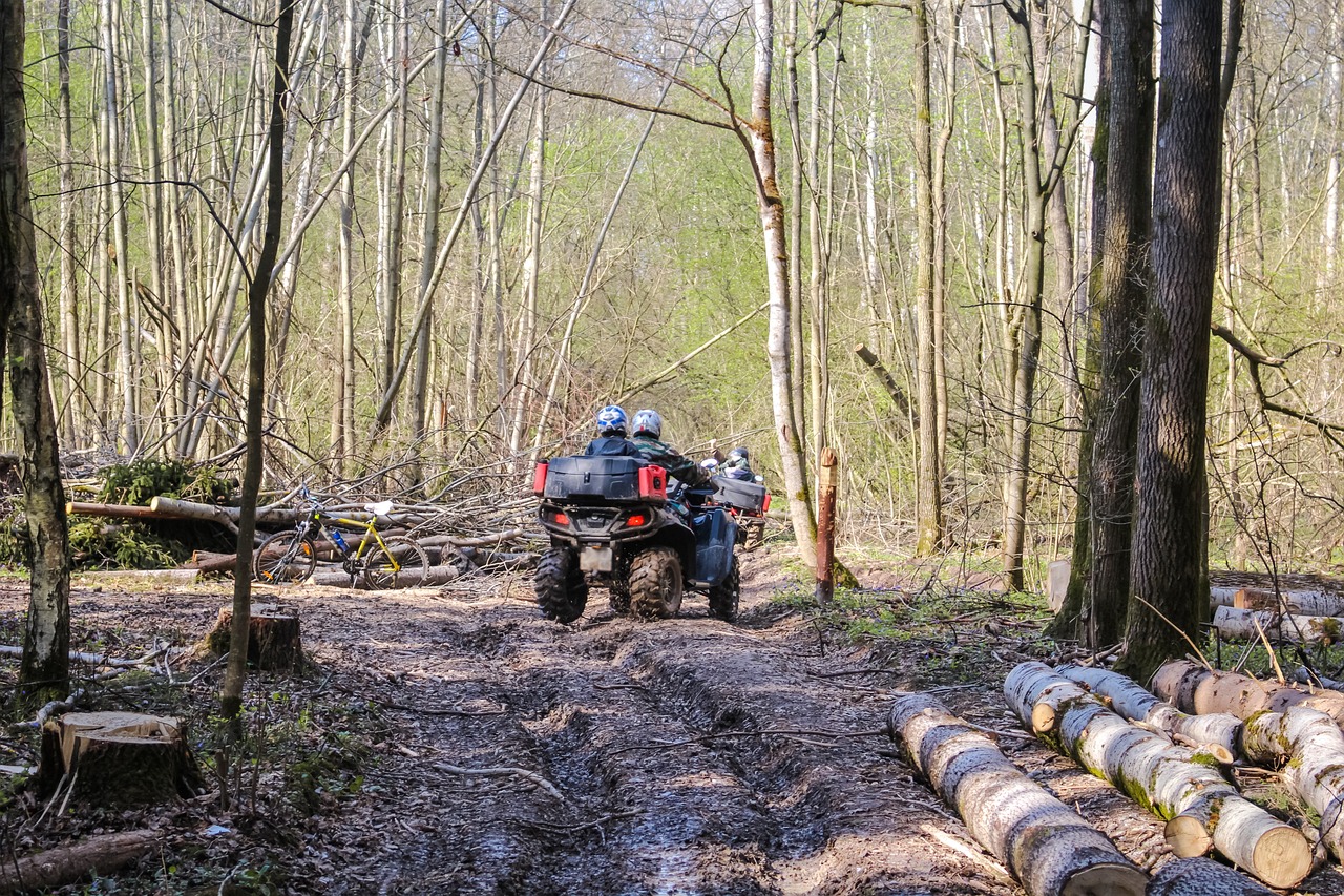 Two ATVs driving away from the viewer on a path through the woods