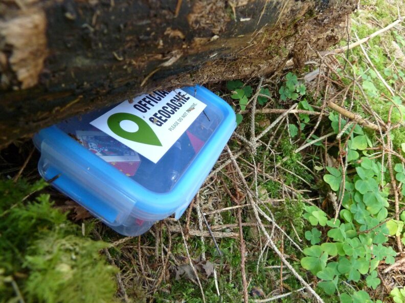 A transparent blue food-saver container with a sticker saying "Official Geocache: do not remove" on it is tucked under the edge of a log