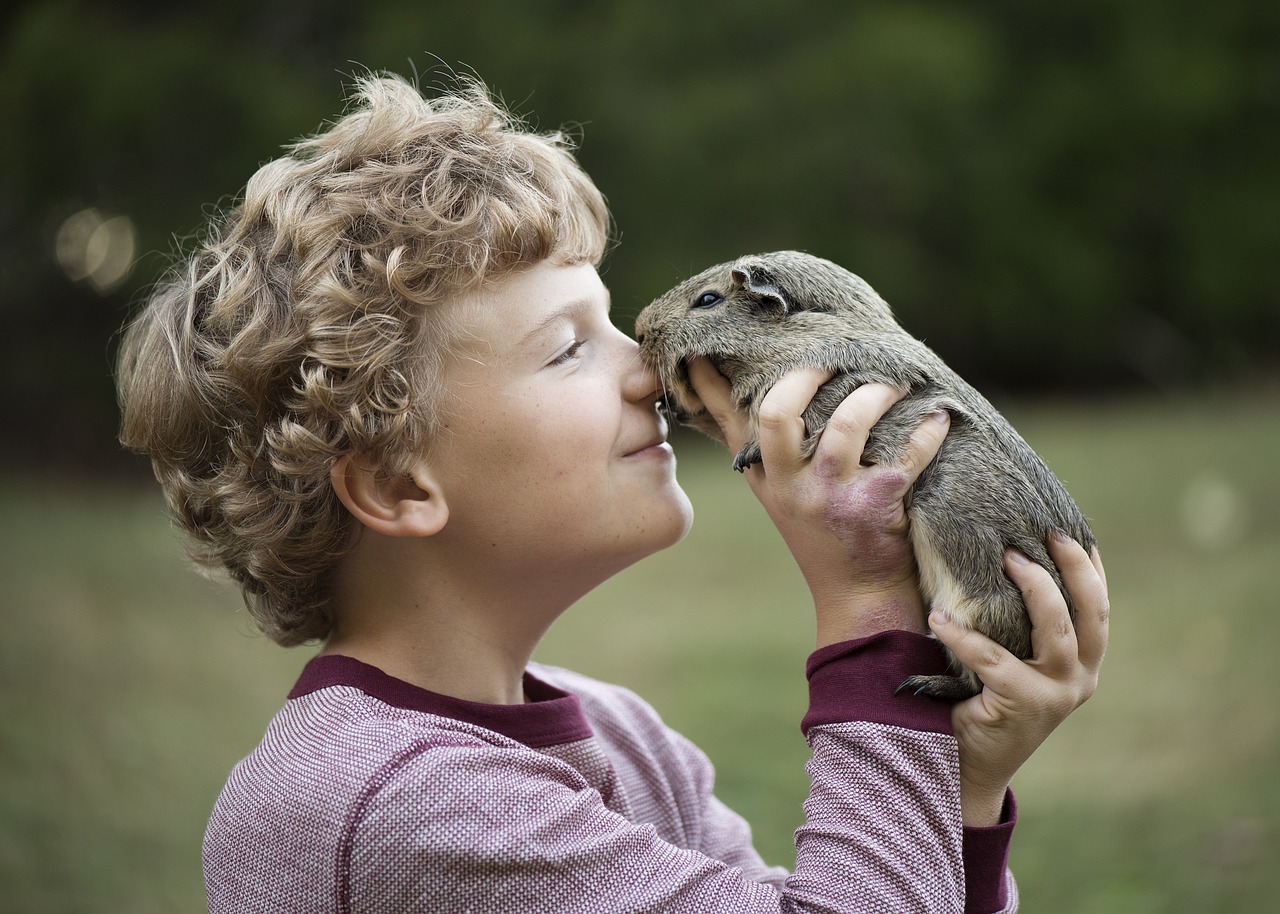 A child holds up a guinea pig, its nose against theirs