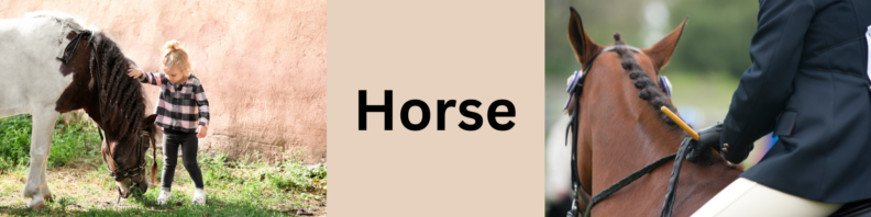 At left, a small child pats the mane of a horse bent down to eat grass. At right, a person riding a horse, most of the person is-off camera. At center, the title "Horse" in black on a tan background