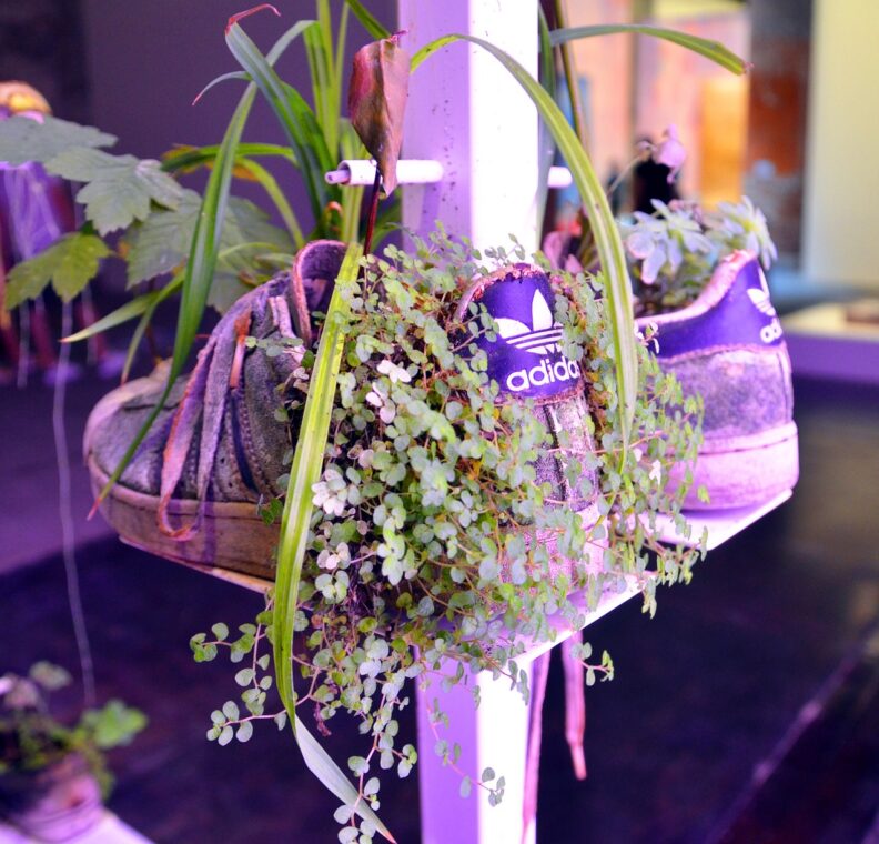 A pair of sneakers used as hanging planters