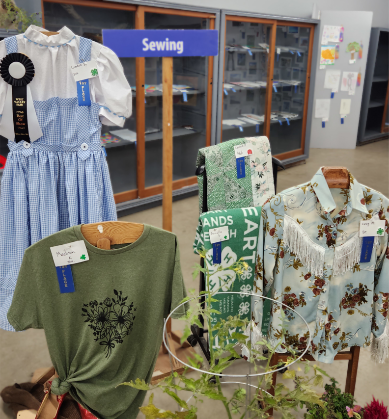 Display of a blue checked gingham dress and two shirts