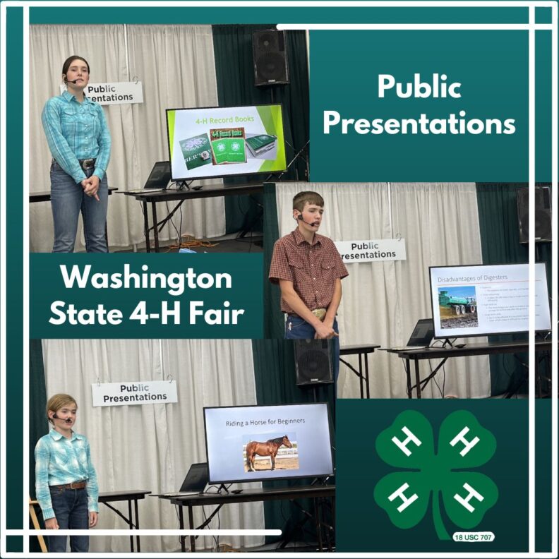Three images of youth standing by a table giving public presentations.