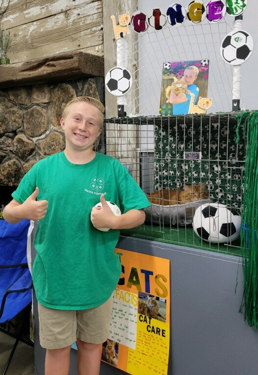 A smiling youth in a green shirt next to a 4-H Cat Project display of cat facts and a cat in a decorated cage.