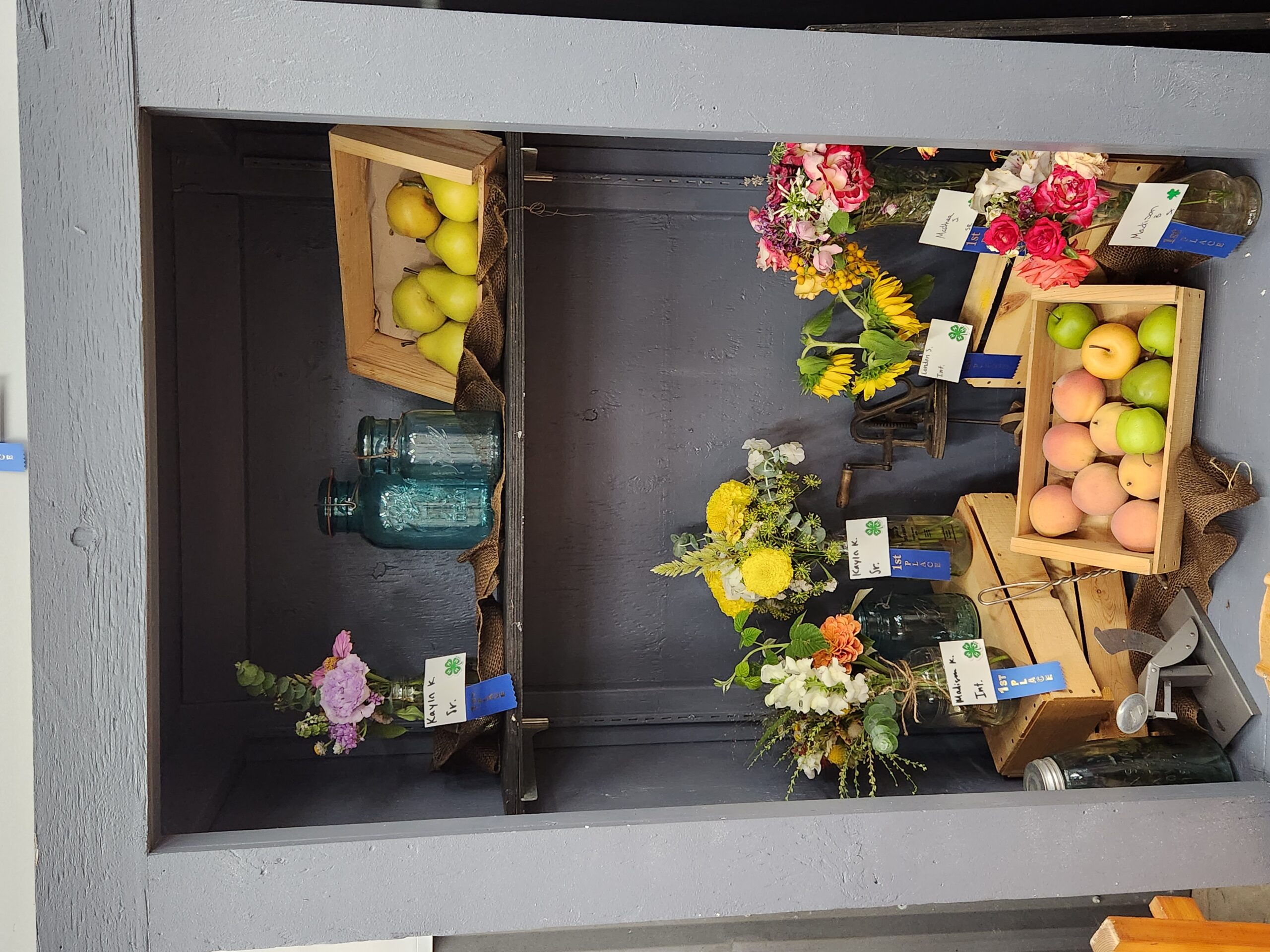 A display of floral arrangements marked with youth names and blue rbbons on a wooden shelf with fruit, wooden crates, and antique mason jars