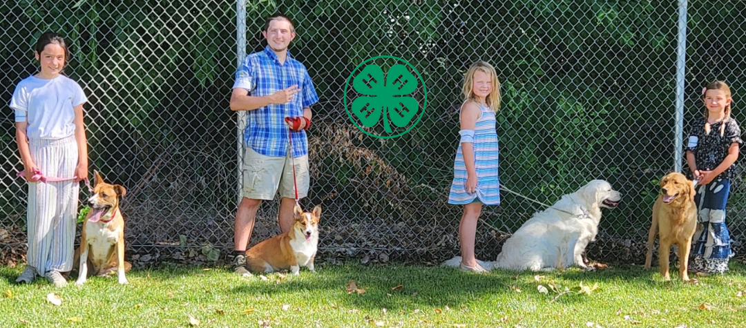 Four youth pose with their dogs outdoors in front of a chain link fence
