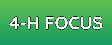 Title "4-H Focus" in white on a green gradient background