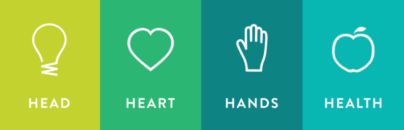 Four H icons - lightbulb for head, heart for heart, open palm for hands, and apple for health