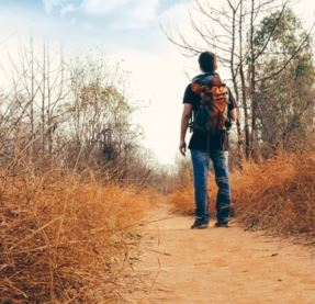 A person with their back to the camera carries a backpack while standing on a sandy path through a natural area.