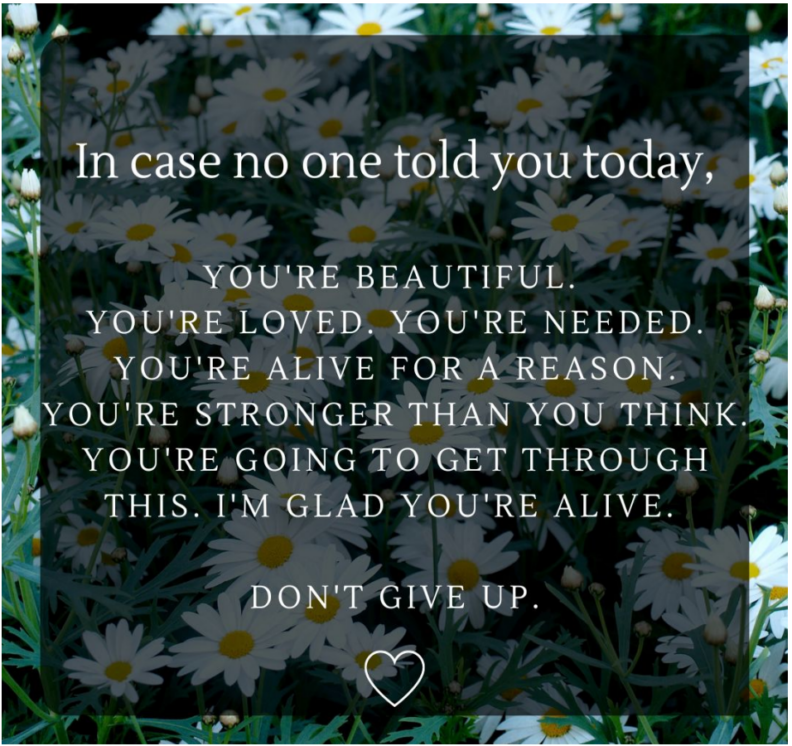 Affirmation over a background of daisies.  "In case no one told you today, you're beautiful.  You're loved.  You're needed.  You're alive for a reason.  You're stronger than you think.  You're going to get through this.  I'm glad you're alive.  Don't give up."