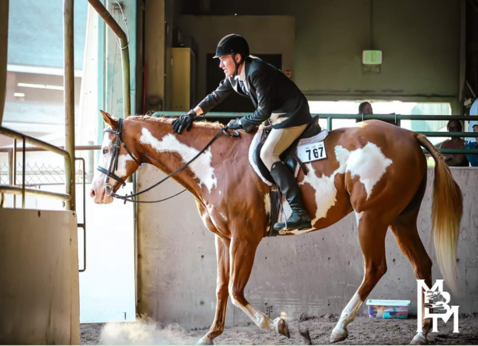 A youth in her riding outfit riding her horse out of the barn.