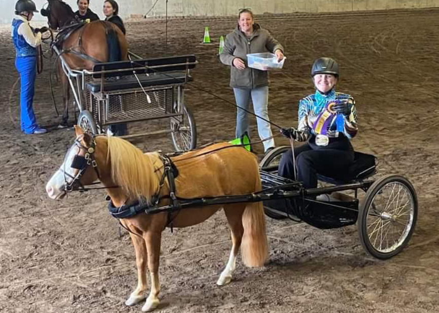 A young person in a small pull cart behind a horse.