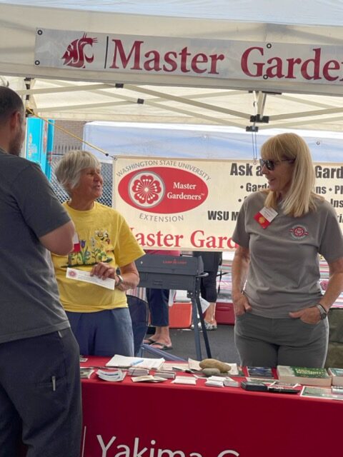Two master gardeners chat with a visitor to their table. There is a red tablecloth on the table and on the surface, a variety of handouts and literature is displayed. The Yakima County Master Gardener banner is behind them, the flower logo visible. They are standing under a white canopy.