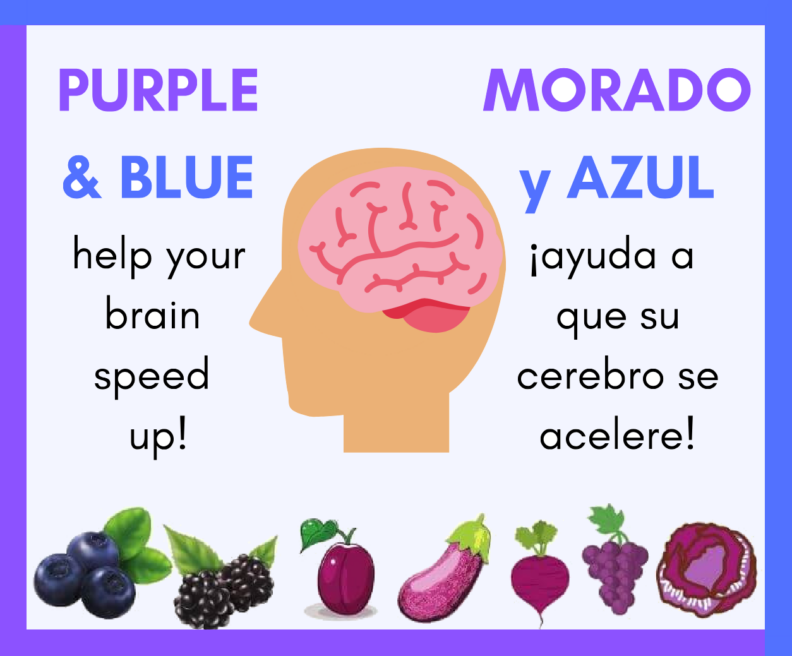 Purple and blue frame with purple and blue fruits and vegetables with the phrase "Purple and blue help your brain speed up!" in English and Spanish.
