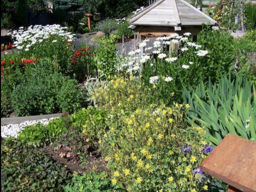 A tightly planted garden of medium to tall flowers and plants.  The flowers are white, red, yellow, and purple varieties both in the foreground and background.  Toward the back of the frame, a gazebo roof is visible, the rest hidden by the greenery.
