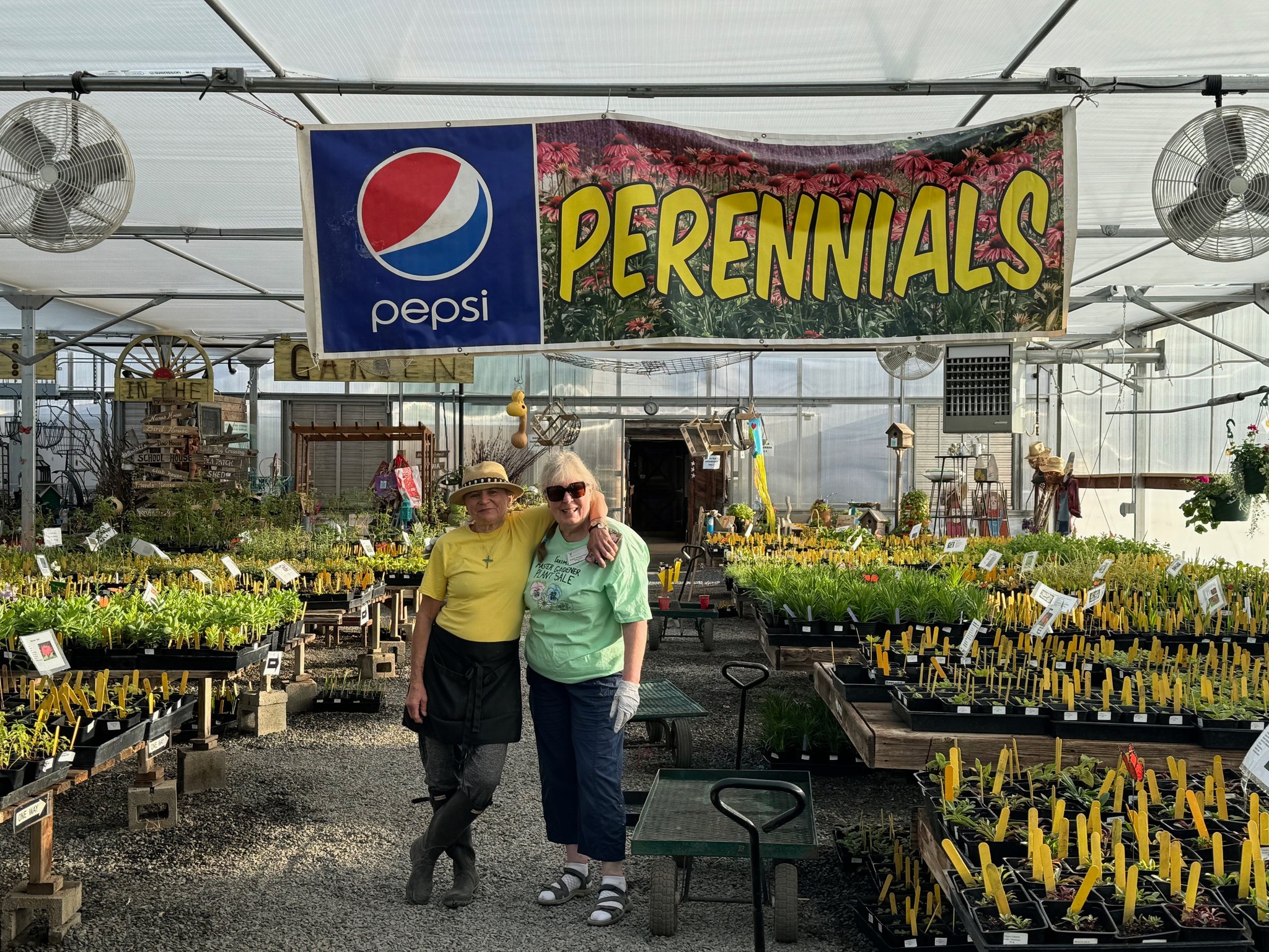 Master Gardener volunteers pose under the banner reading "perennials" in their greenhouse surrounded by flats of plants on tables.