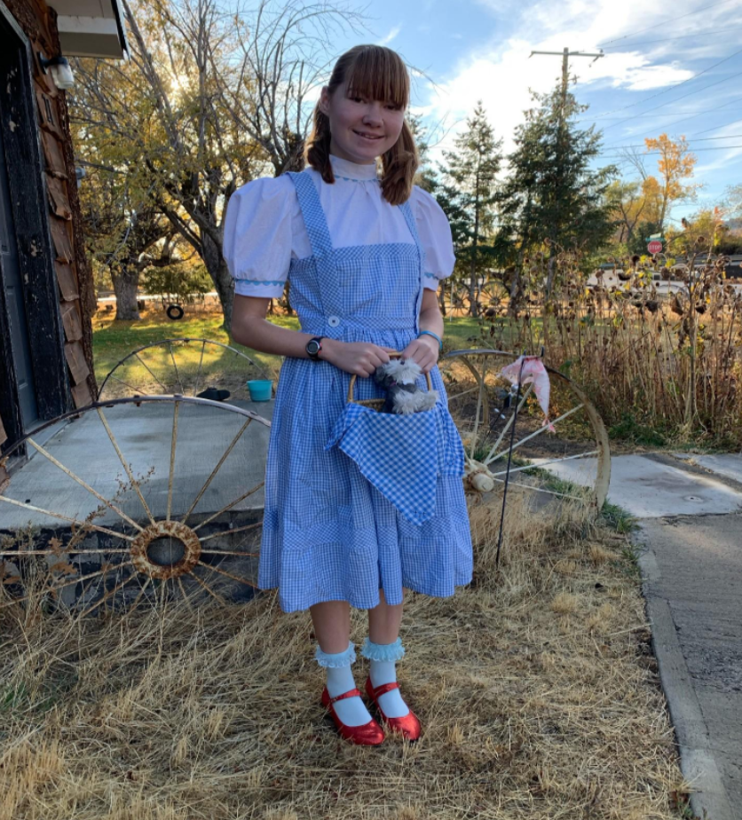 A child poses outside wearing a blue gingham check dress over a white puffy-sleeved blouse, white socks with frills, and bright red glittering shoes.  Her hair is in two pigtails and she is holding a basket lined in a blue and white checked cloth with a small dog plush in it.