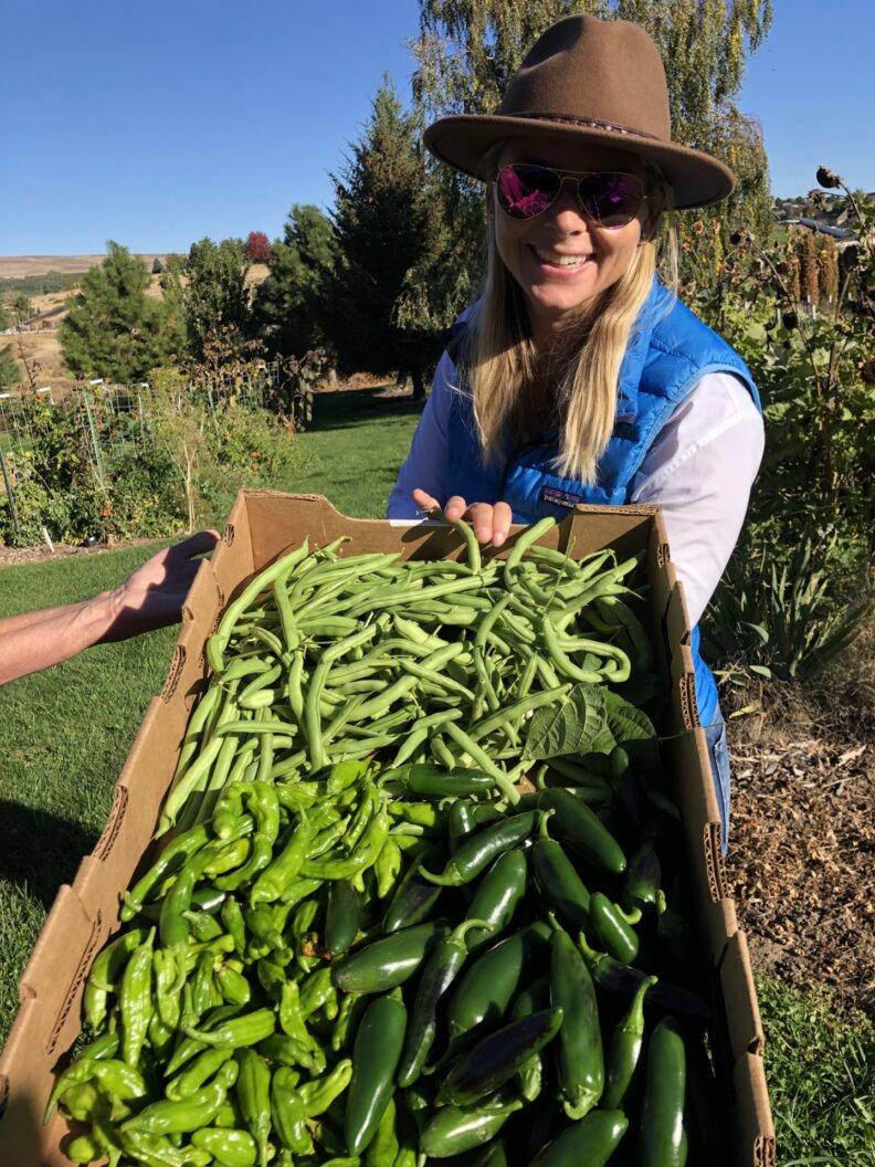 A Master Gardener shows off the day's harvest in a cardboard box held up for the camera.  In the box, there are green beans and multiple varieties of peppers.  The volunteer has long light hair, a blue vest, mirror sunglasses, and a cowboy style flat-brimmed hat.  They are standing in the garden.