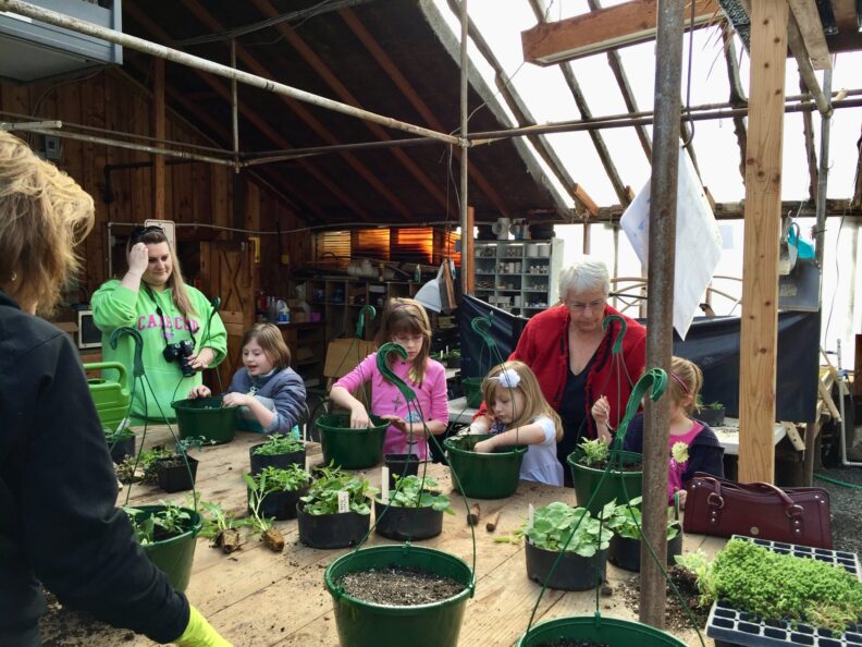 Master Gardeners help youth pot plants in hanging baskets around a table inside a greenhouse.