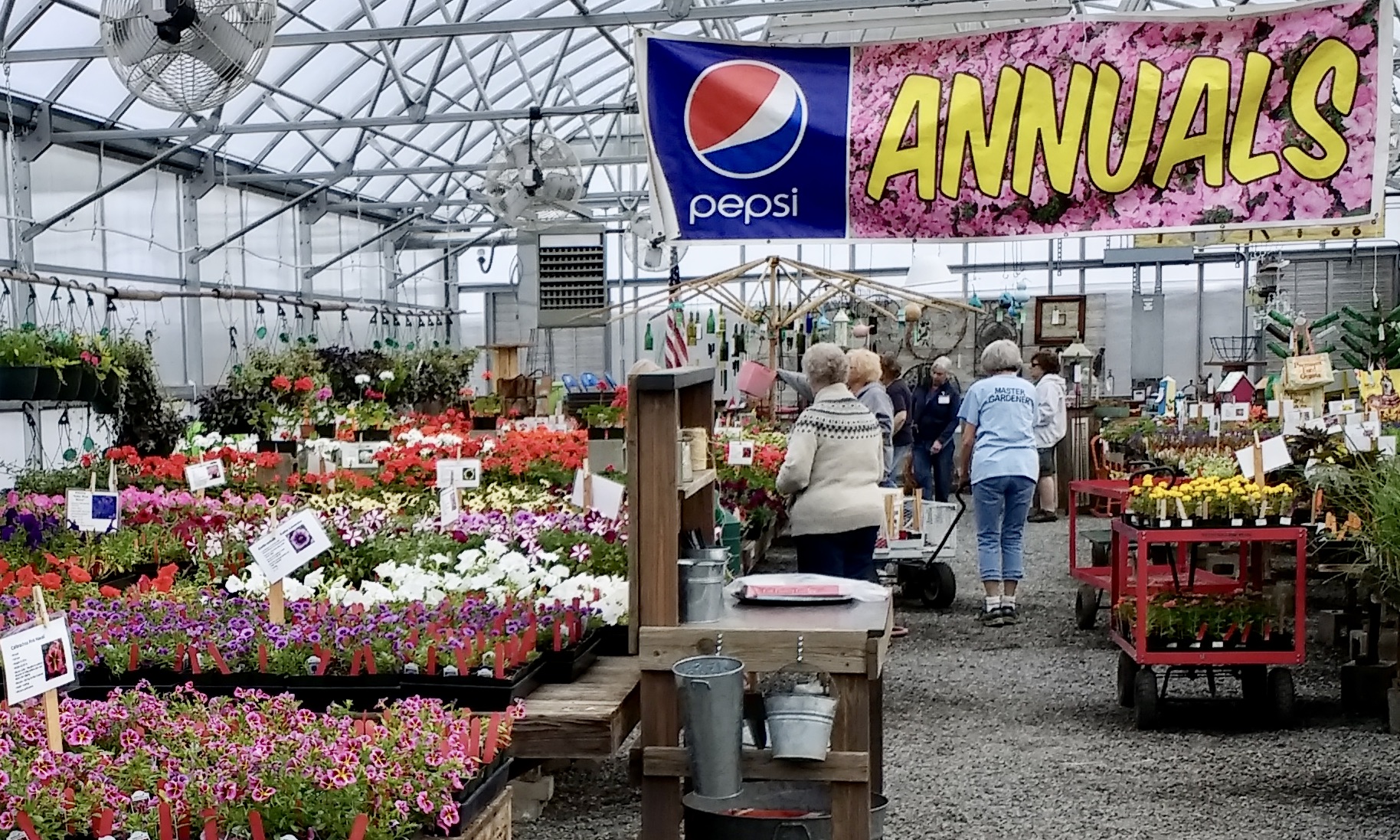 Shoppers peruse row after row of colorful annual flowers in bloom in black plastic flats on wooden tables in a large greenhouse under a banner reading "annuals."  There are plant-laden garden carts in the aisles as shoppers choose their plants.