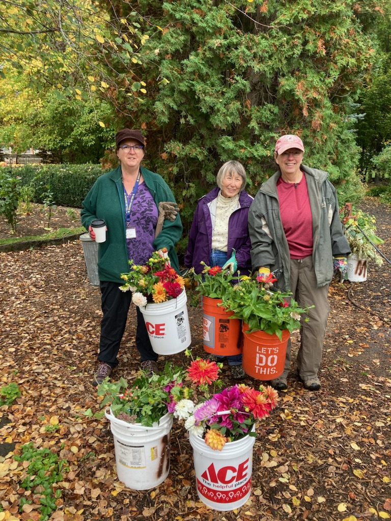 Three Master Gardeners stand in front of an evergreen on a path covered in yellow and brown leaves. They are carrying large five-gallon buckets overflowing with flowers. There are two more buckets on the ground in front of them.