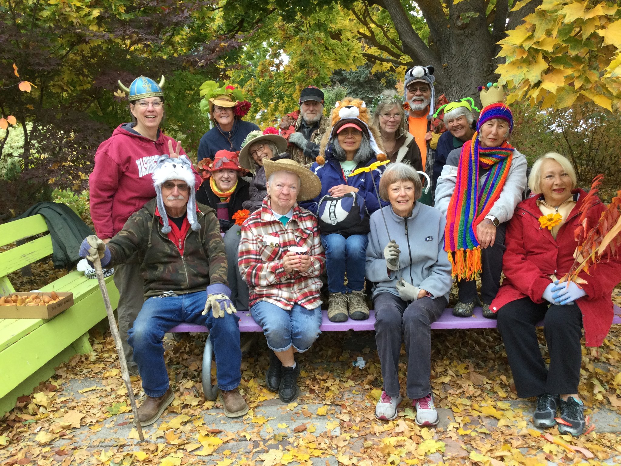 A group of Master Gardener volunteers wearing silly hats and carrying props such as flowers and stems with leaves.  They are sitting on a purple picnic table under a maple tree turning yellow in the fall.