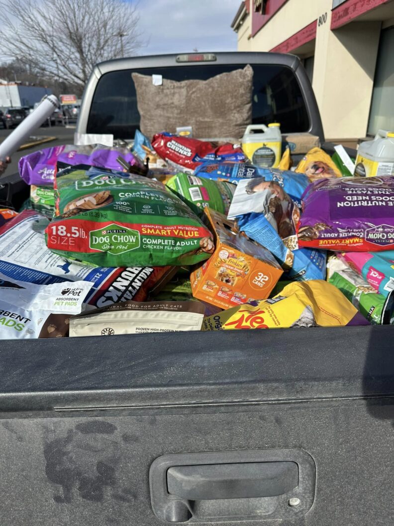 Large truck bed full of dog and cat food, pet beds and kitty litter